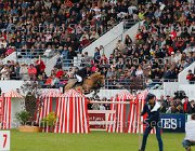 BOST QUOD COEUR LaBaule2013- S5 8620 : 2013, BOST ROGER YVES, La Baule, QUOD COEUR DE LA LOGE, foto di Stefano Secchi ©